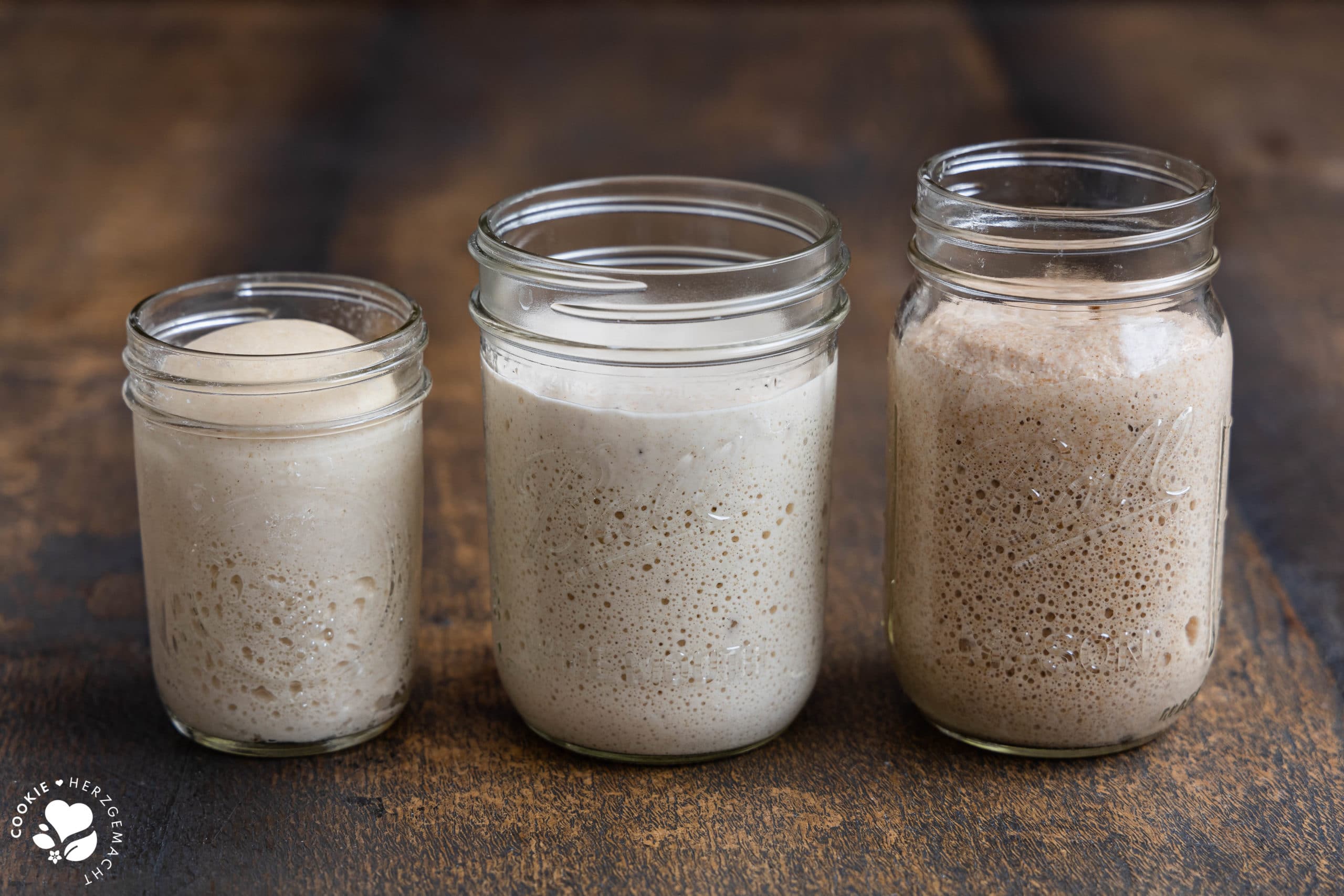 verschiedene Sauerteige: Lievito Madre, Weizensauerteig und Roggensauerteig